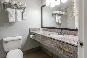Quality Inn Downtown Historic District - Salle de bain