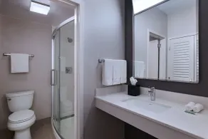 Courtyard by Marriott Dallas Richardson at Spring Valley - Salle de bain