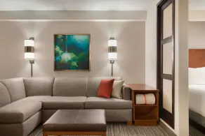 Hyatt Place Chicago Schaumburg - Chambre