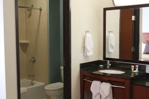Hyatt Place Dallas/Garland/Richardson - Salle de bain