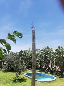 Cabañas Miranda - Piscina