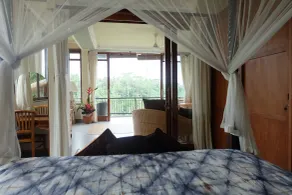 Tirta Asri Ubud Villa - Udsigt fra værelset