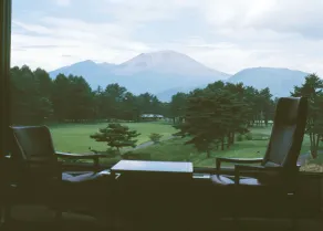 The Prince Karuizawa - View from room