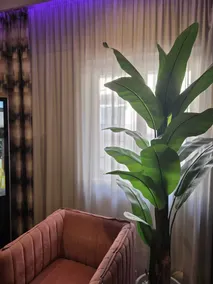 Hotel Daytona Palace - Reception