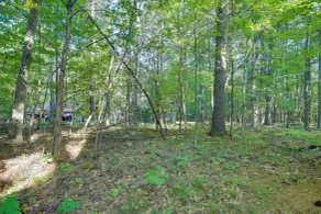 Cozy Adirondacks Cabin: Walk to Lake Eaton! - Interiør