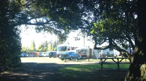 Greytown Campground - Rezeption