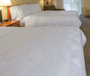 Allure Hotel & Conference Center - Chambre