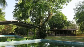 Waterfall Hostel - Pool