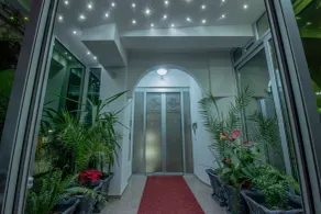 Villa Dislievski - Reception