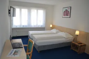 Central Hotel Post - Chambre