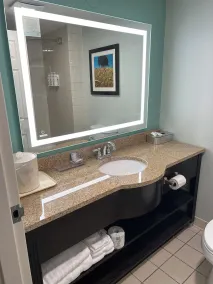 Wingate by Wyndham Green Bay - Salle de bain
