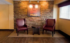 Red Roof Inn PLUS+ Chicago - Naperville - Sitteområde i lobbyen