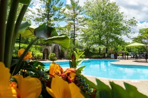Hockley Valley Resort - Piscine