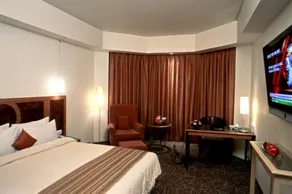 Katriya Hotel and Tower - View from room