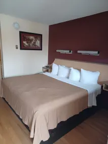  Red Oak Inn Detroit Metro Airport - Belleville - Chambre