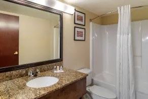 Comfort Inn & Suites Suwanee - Sugarloaf - Salle de bain