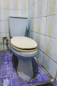 Hotel O Green Forest Homestay NearTaman Wisata Pusuk Sembalun (Tourist Park) - Bathroom