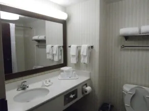 Spark by Hilton San Antonio Airport - Salle de bain