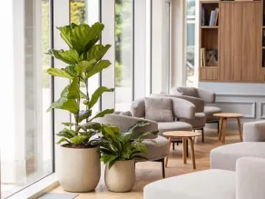 Novotel Brugge Centrum - Reception