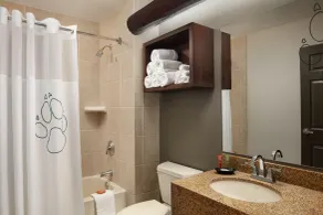 Great Wolf Lodge Williamsburg - Bathroom