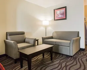 Quality Inn & Suites North Montgomery - Room