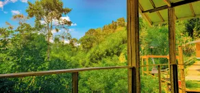 Cores e Flores da Serra by Concavus - Room