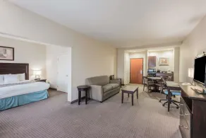 Wingate by Wyndham New Braunfels - Chambre
