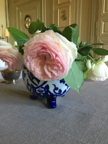 B&B Le Jardin de Carco - Reception