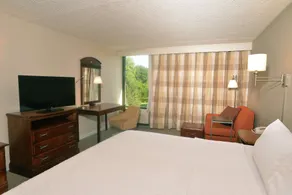 Hampton Inn Springfield-South - Zimmer