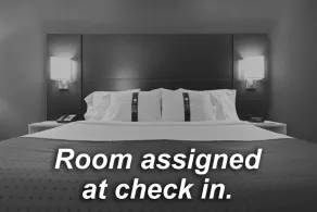 Holiday Inn Express Hotel & Suites DFW West - Hurst by IHG - Camera