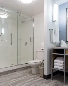Hilton Garden Inn Atlanta Northpoint - Chambre