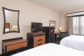 Hampton Inn and Suites Indianapolis - Fishers - Chambre