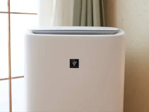 Wind City Hotel - Room