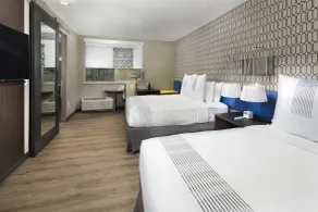 GLo Hotel Asheville-Blue Ridge Parkway - Chambre