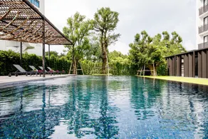 Scene Bangkok Noi - Piscine