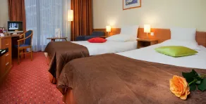 Mercure Karpacz Skalny - Room