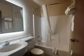 Microtel Inn & Suites by Wyndham Houston - Bad