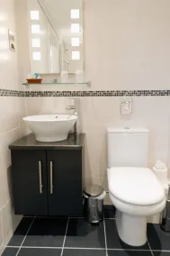 The Grafton - Baño