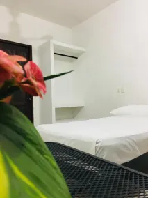 Standard room with two single beds for relaxed stay - Room