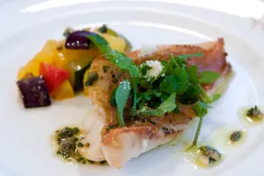 Little Grebe - Restaurant