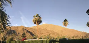 Delos Reyes Palm Springs - Vue de la chambre