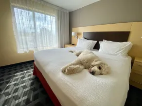 TownePlace Suites by Marriott Tulsa Broken Arrow - Chambre