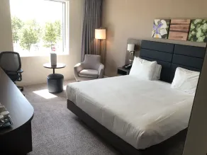 Hilton Garden Inn Birmingham Airport - Habitación