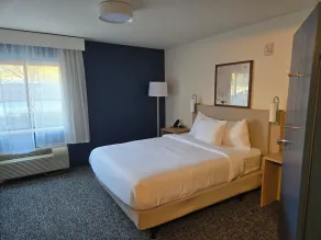 Spark by Hilton Grapevine DFW North - Chambre
