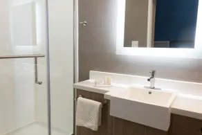 SpringHill Suites by Marriott Dallas McKinney - Salle de bain