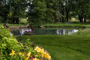 Rainbow Ridge Farms - View from room