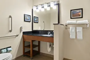 Comfort Suites Saginaw North - Salle de bain