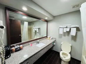 Econo Lodge Inn & Suites Centerville - Bad