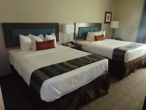 Wingate by Wyndham Lubbock - Chambre