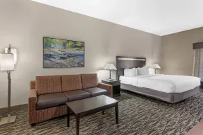 Best Western Plus McDonough Inn & Suites - Chambre